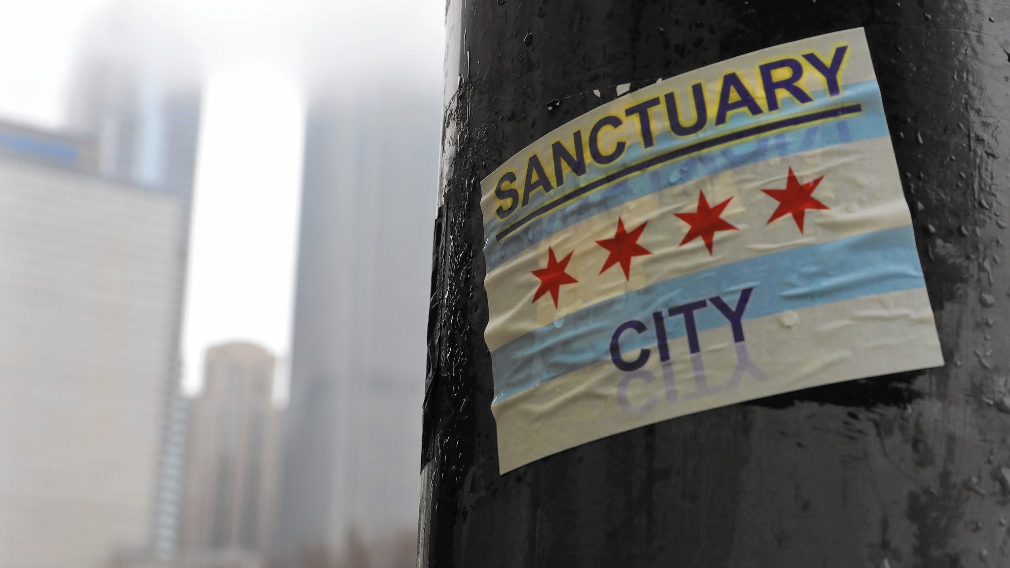 Photo of a sticker of the Chicago flag that says Sanctuary City